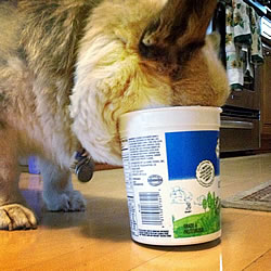 Eating!